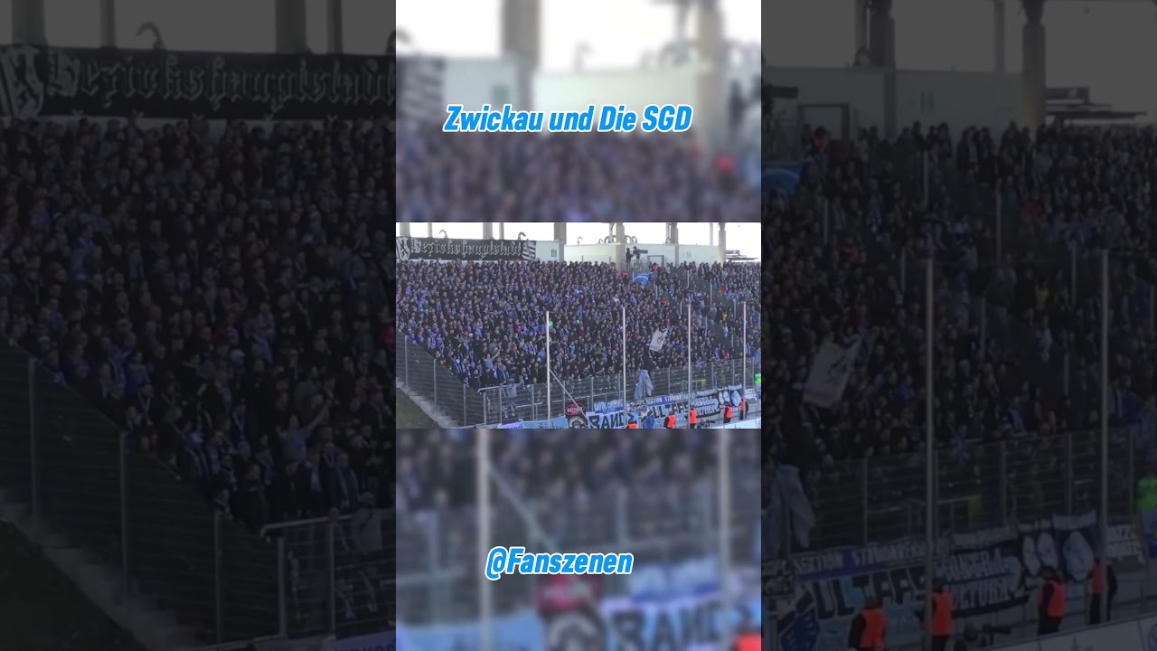 Chemnitz Ultras | Schwuleen liebe ist OK, Zwickau und die SGD #ultras #football #football