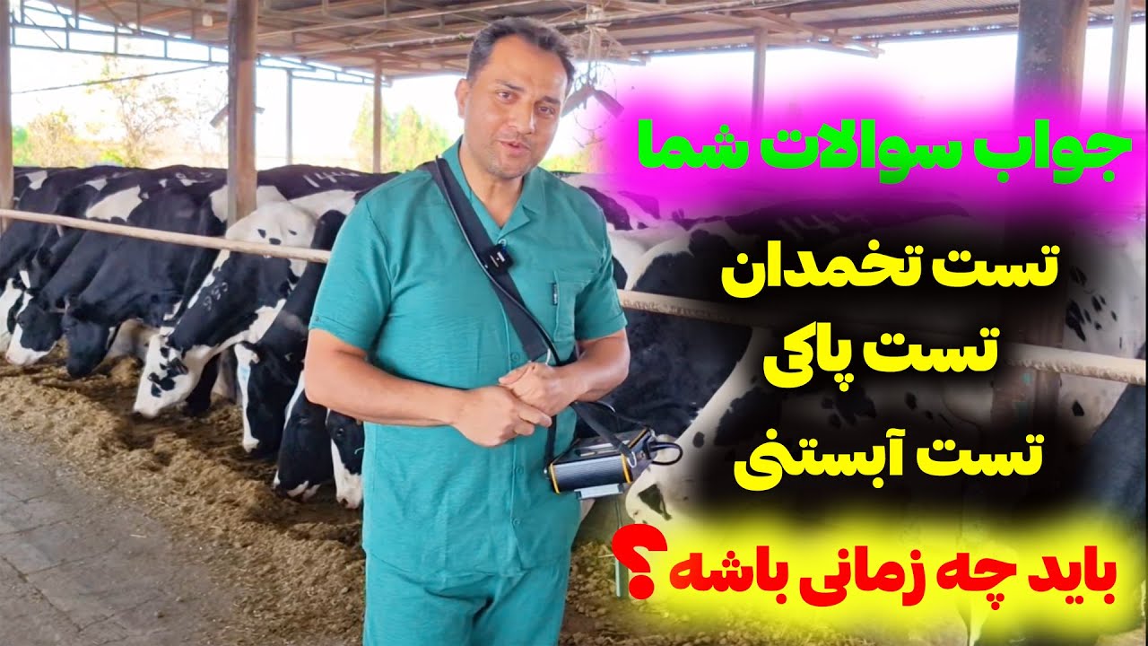 چرا تا ۱۰ روز بعد از زایمان دامپزشک باید گاوهای تازه‌زا رو چک کنه و چه مزایایی داره...
