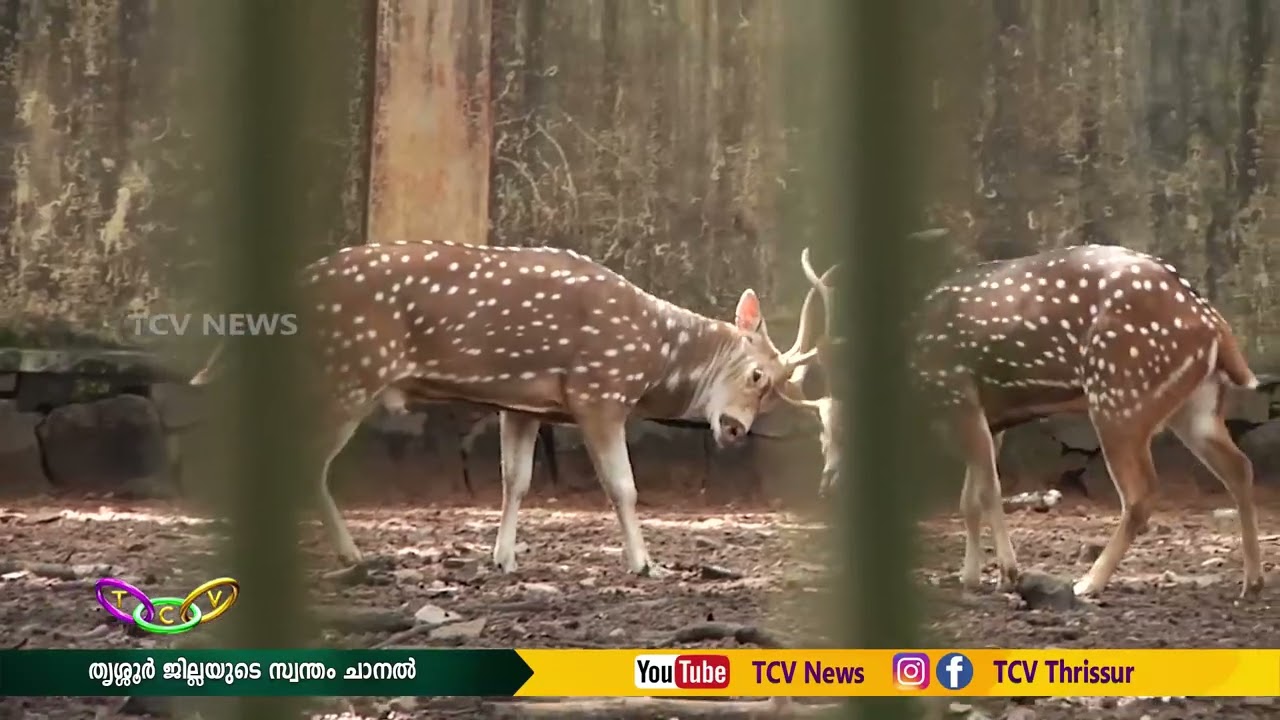 പുത്തൂർ സുവോളജിക്കൽ പാർക്ക് സെപ്തംബറിൽ തുറക്കുമെന്ന് റവന്യൂ  മന്ത്രി കെ. രാജൻ
