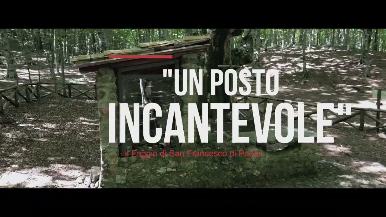 Un Posto Incantevole - il Faggio di S. Francesco di Paola -