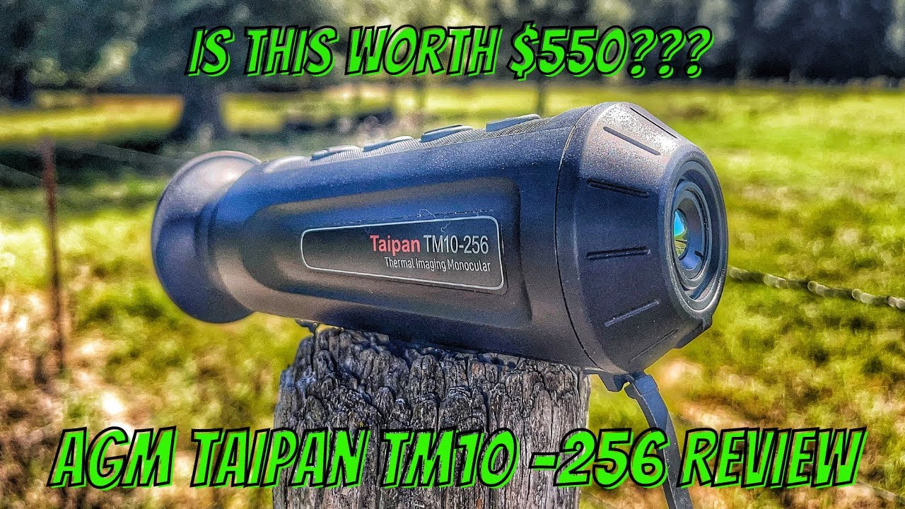 Обзор AGM Taipan TM10 256