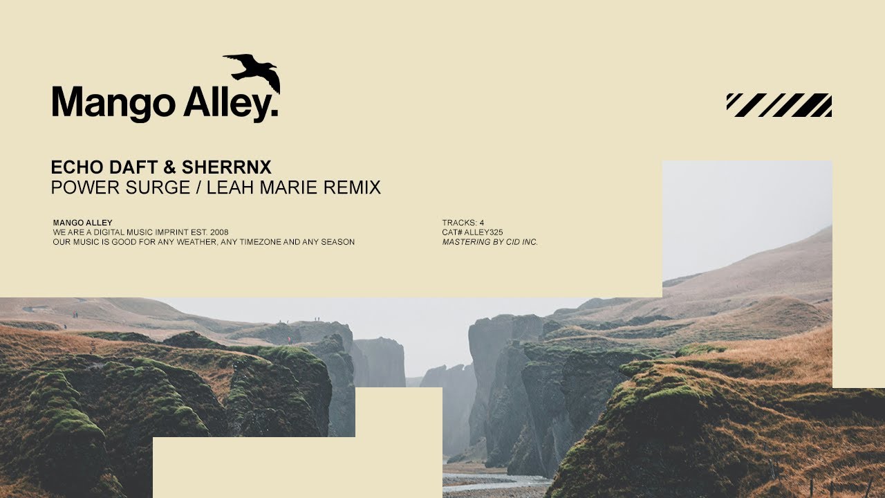 ECHO DAFT & SHERRNX Power Surge (Leah Marie Remix)