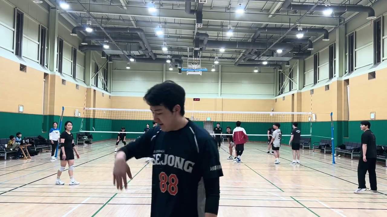 💙세종배사모(26.2.18.수)
