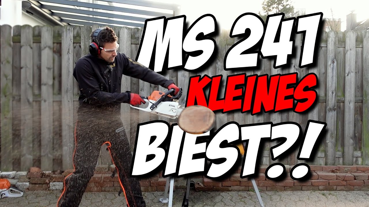 STIHL MS 241 Unboxing & Testcut