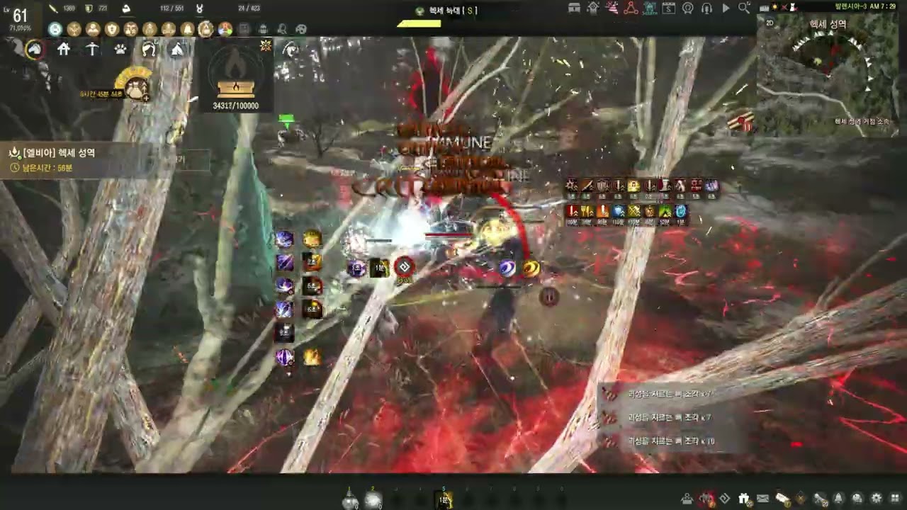 BDO Hexe Seraph lv2 agris 