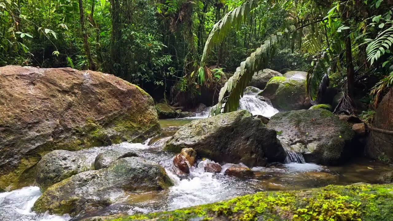 Inspiring River Flow For Creativity | 1 Hour Water Ambience for Artistic Focus, Imaginative Thinking