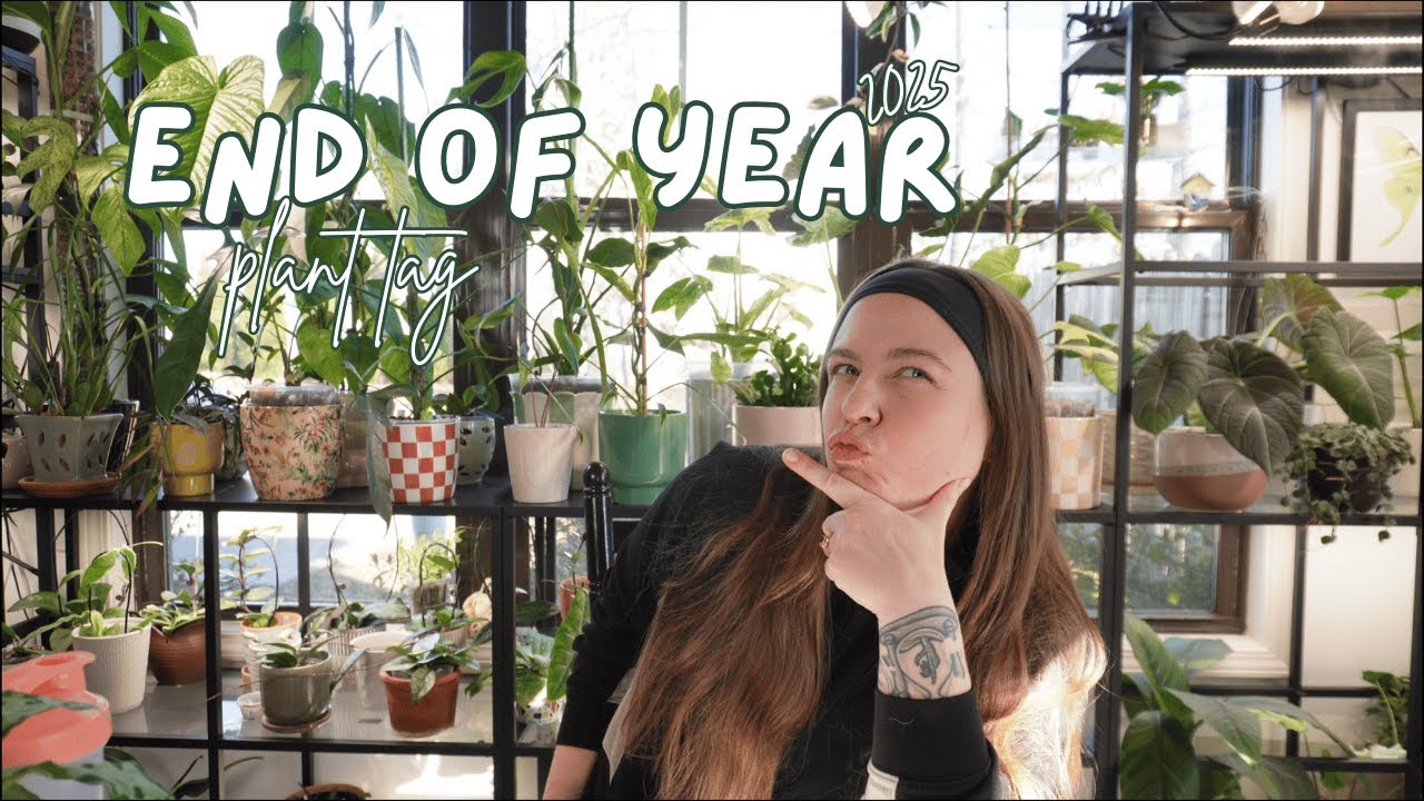 End of Year (2025) Plant Tag! | @wildfern