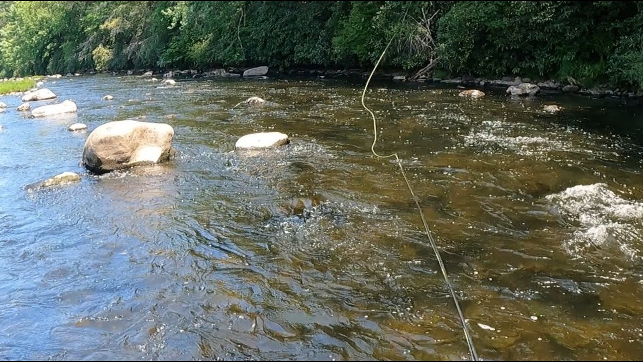 FLY FISHING THE UPPER LEHIGH RIVER, 