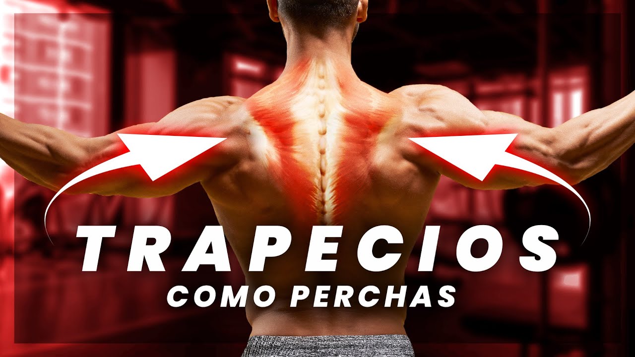 Trapecios de acero: ⚡ Ejercicios y consejos para un crecimiento explosivo