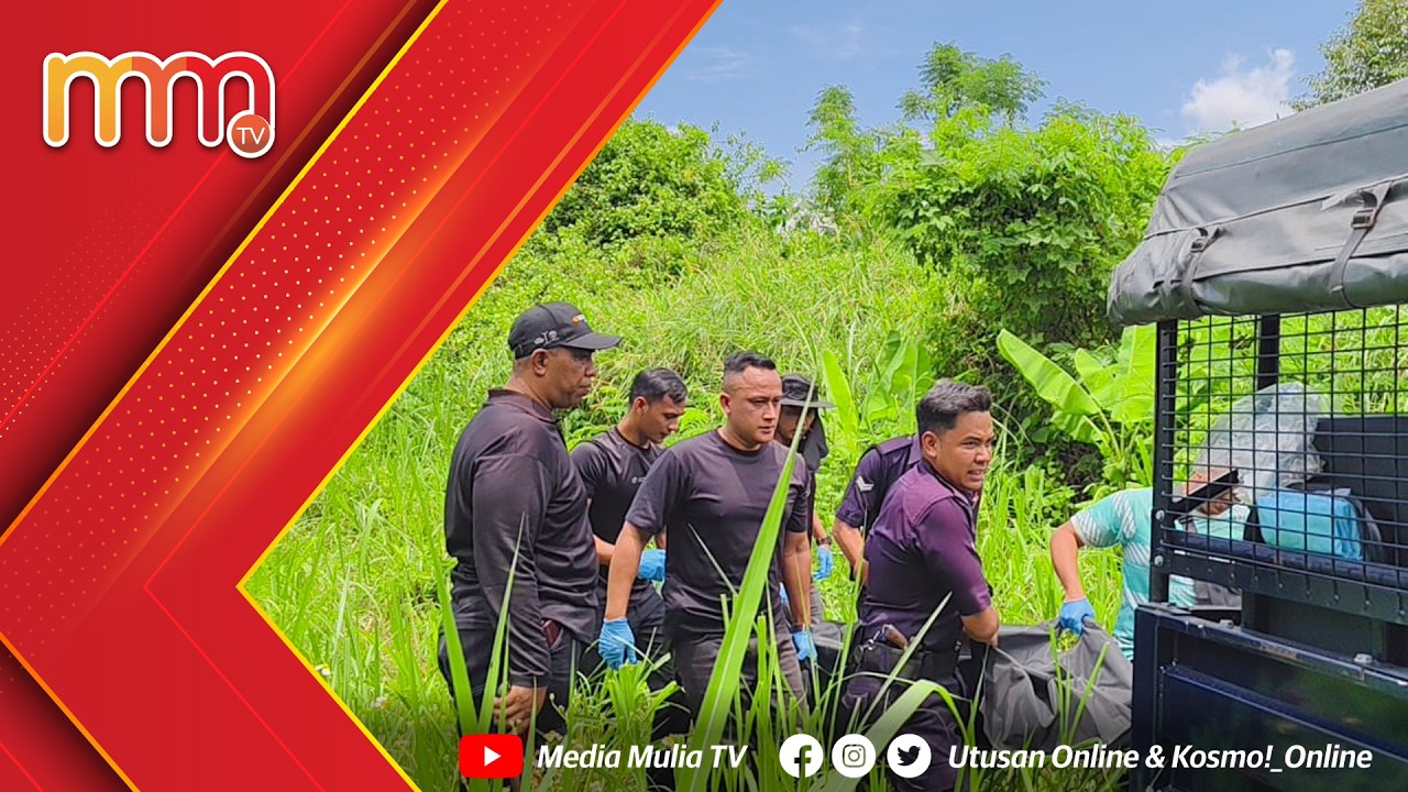 Tiga maut terkena renjatan ketika cuba curi kabel elektrik