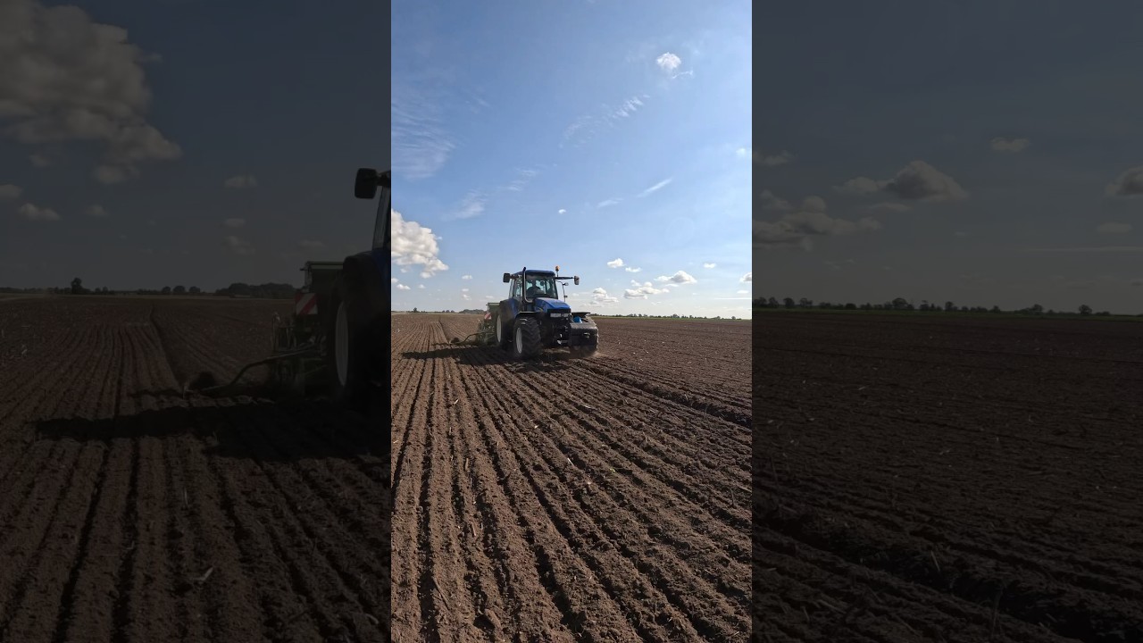 New Holland TM155 + Amazone AD3000 #farmer #amazone #newholland #pszenica #farmerlife