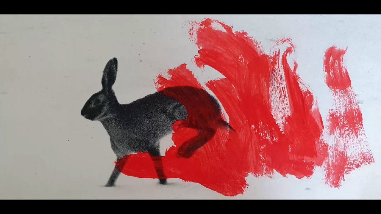 Wildfire tears - Mobile Film Festival - Making Peace With Nature