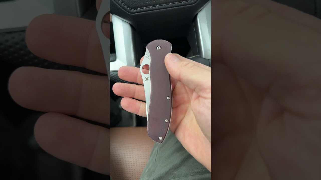 Spyderco Gayle Bradley - Sharp Dressed/LynchNW 