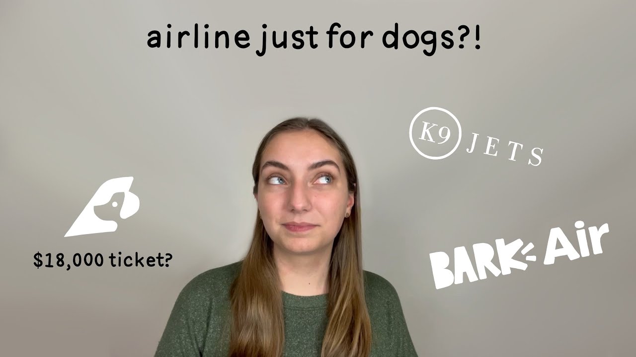 The Future of Flying Dogs is Changing | The First Dog Friendly Airlines