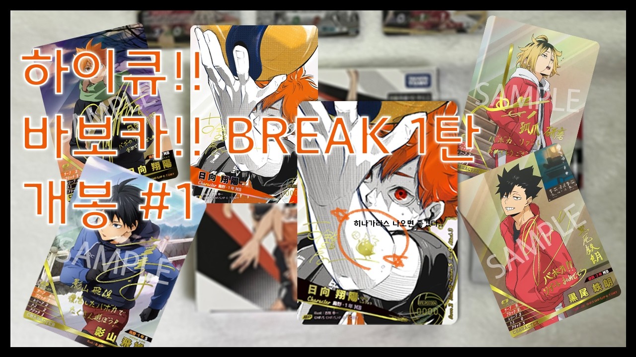 바보카가.. 다시 새롭게 출시됐다고..?? 하이큐!! 바보카!! BREAK 1탄 개봉 (1)