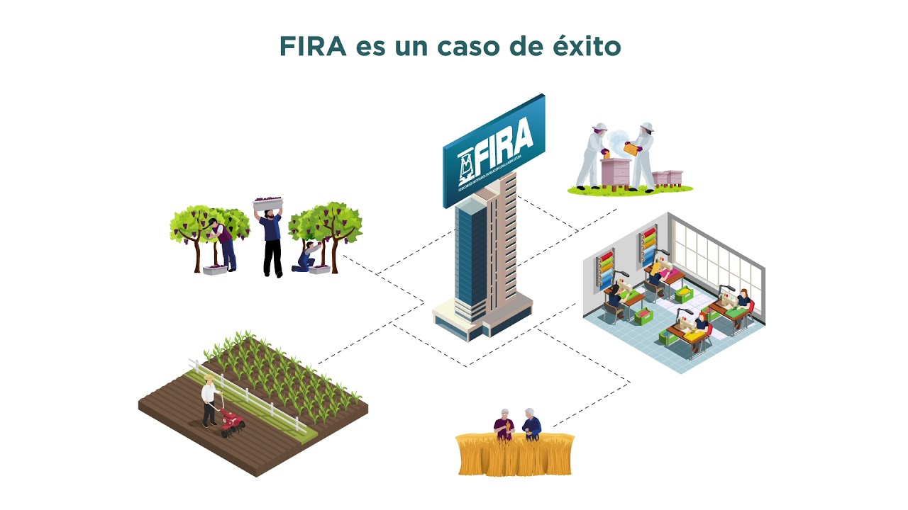 Los Bancos de Desarrollo en México