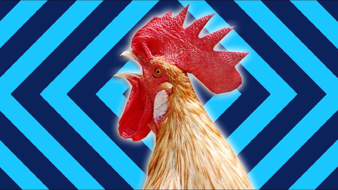 MORE World's WEIRDEST Science Studies | BRITLAB