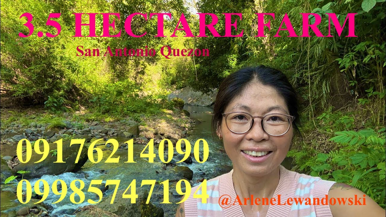 Vlog646: FOR SALE TITLED 3.5 HECTARE FARM WITH RIVER & MOUNTAIN VIEW SAN ANTONIO QUEZON PHILIPPINES