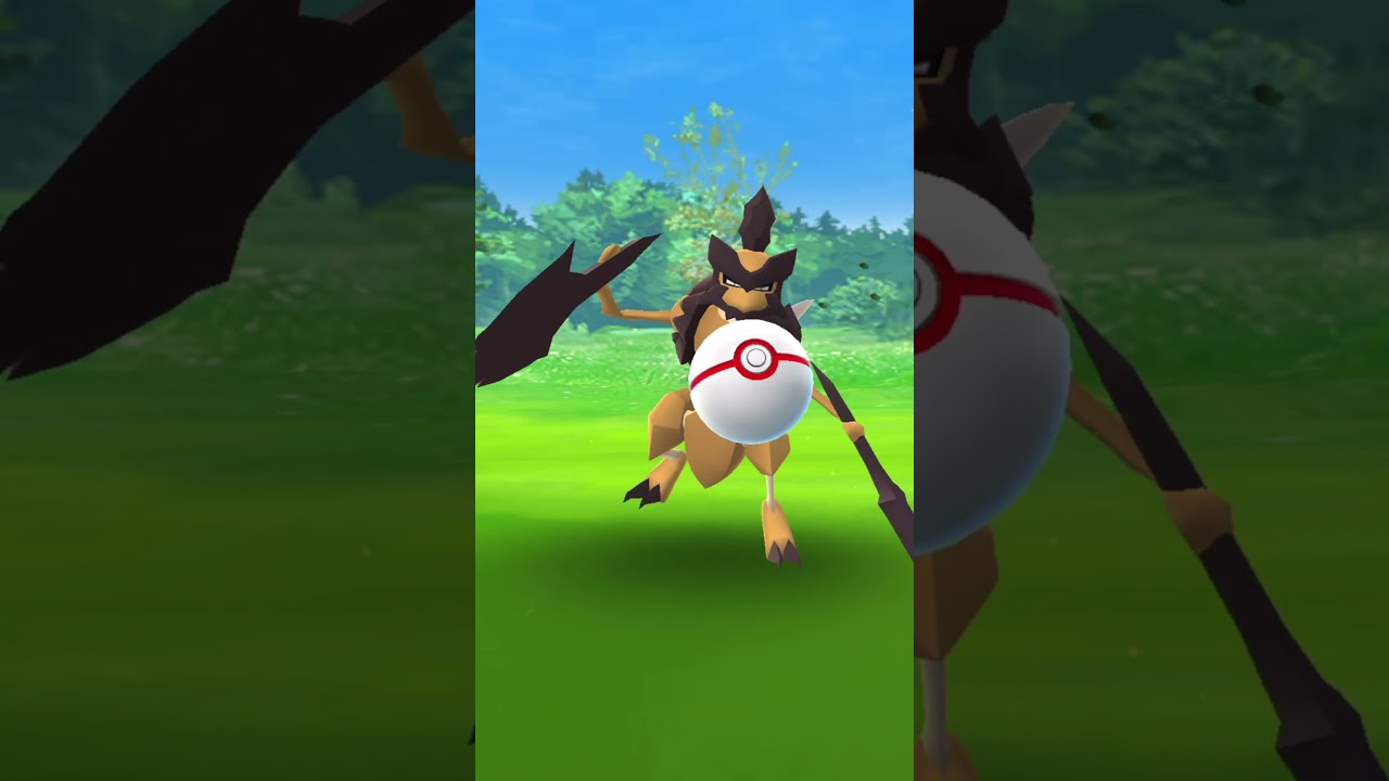 I can&rsquo;t catch this Pok&eacute;mon unless it&rsquo;s shiny
