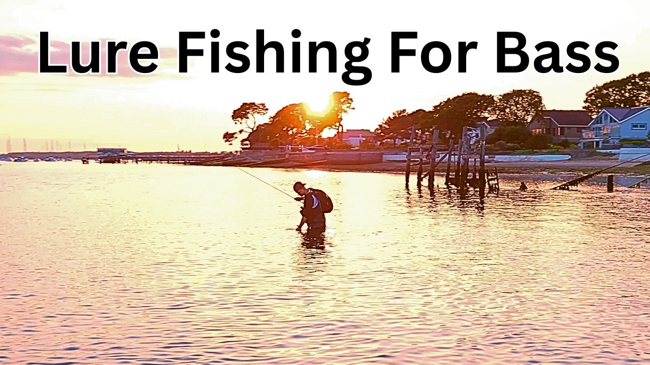 Bass Fishing Poole Harbour & Studland | UK Sea Bass Fishing Adventure!