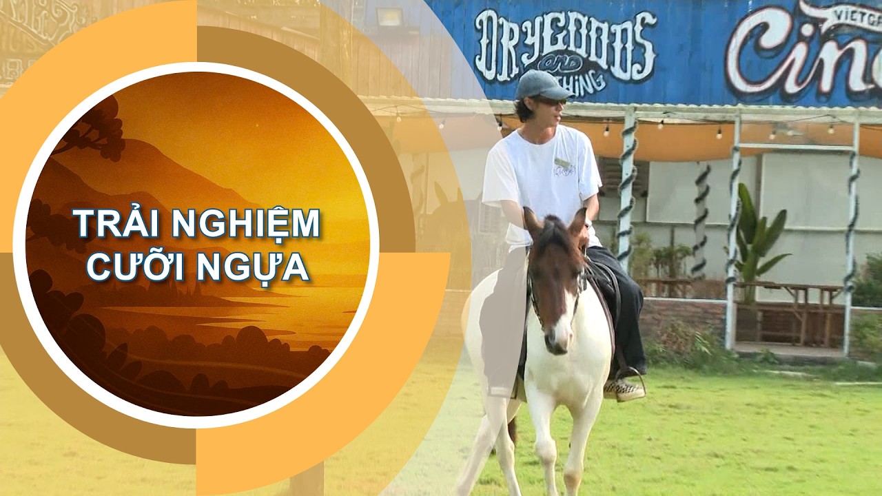 TRẢI NGHIỆM CƯỠI NGỰA