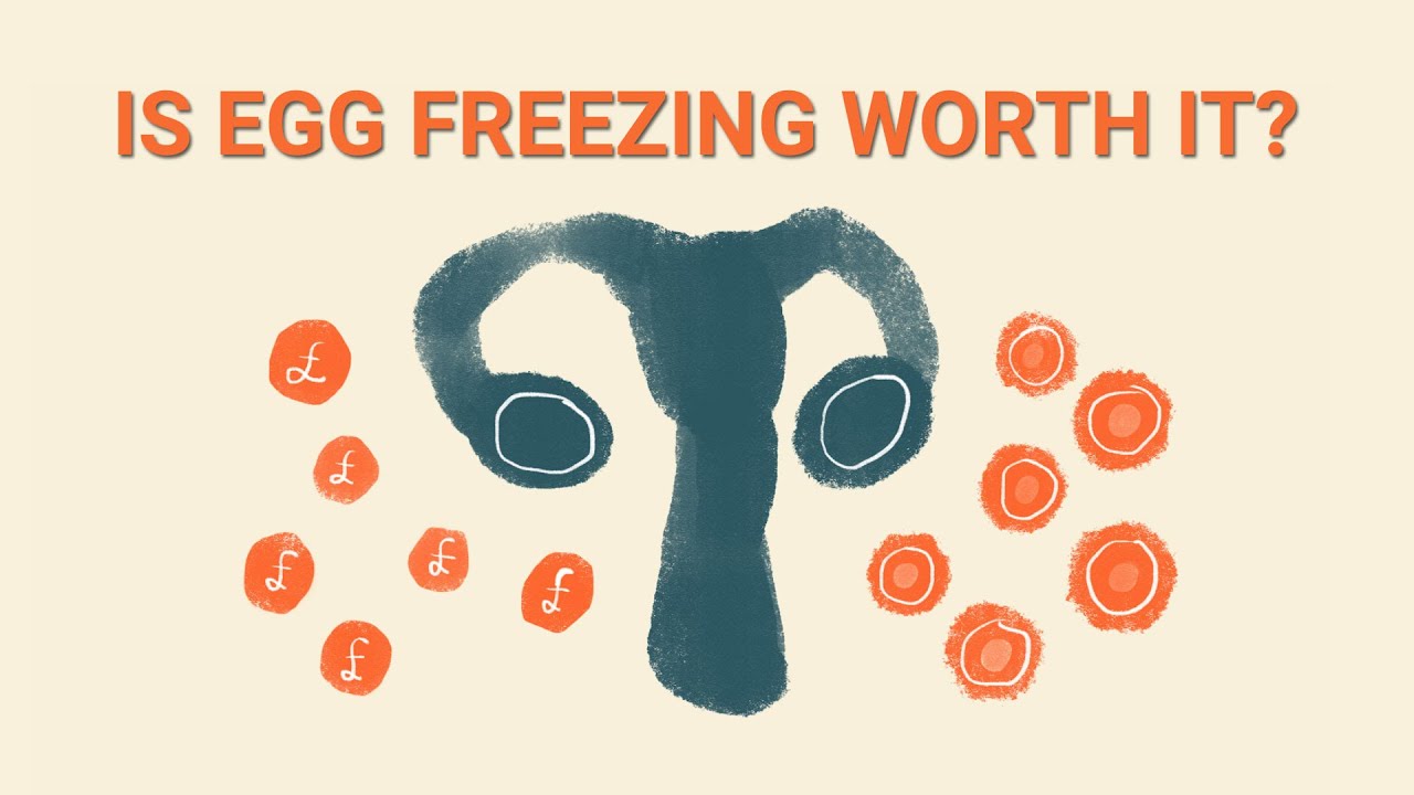 How does freezing your eggs work? The reality of fertility treatment in the UK | LSE Research