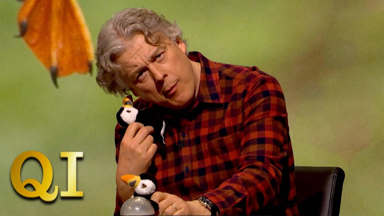 How Do You Toss A Puffin? | QI