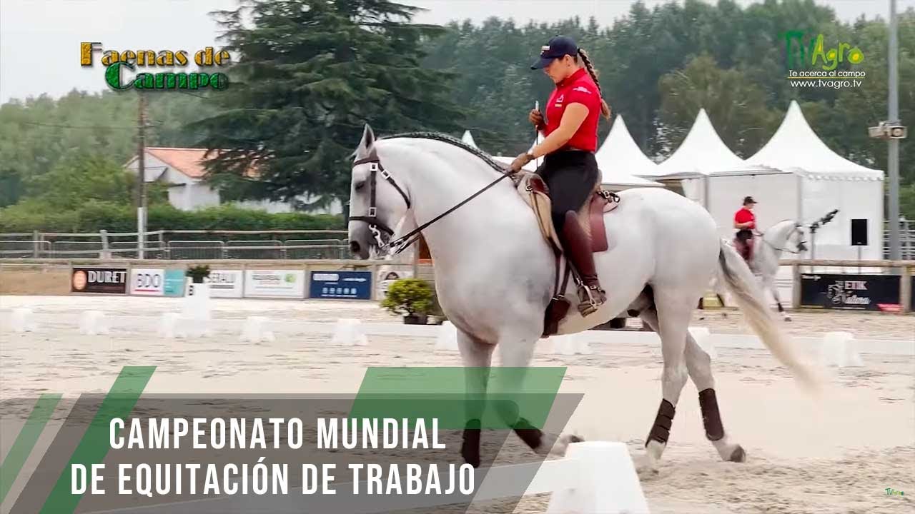 Campeonato mundial de equitación de trabajo Francia - TvAgro por Juan Gonzalo Angel Restrepo