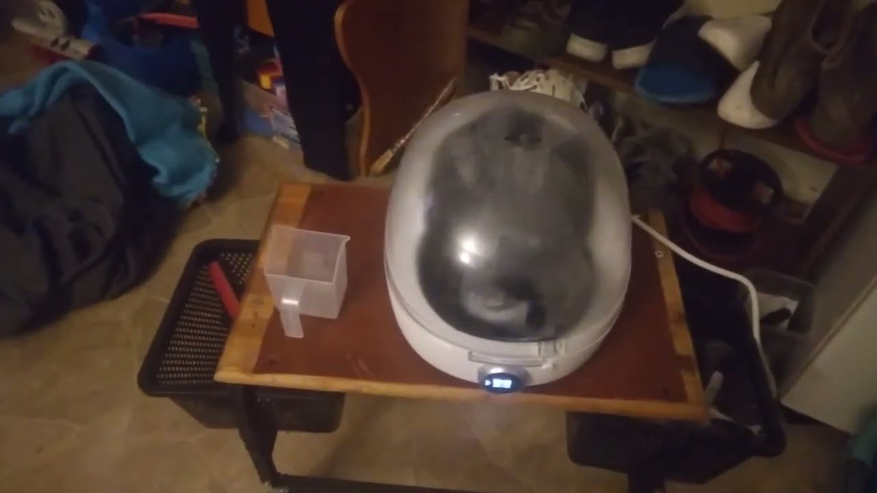 innopaw hat steamer