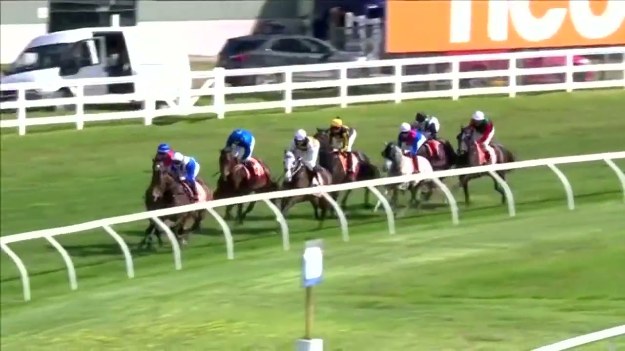 Might and Power Stakes - Anamoe (Group 1 - 2022)