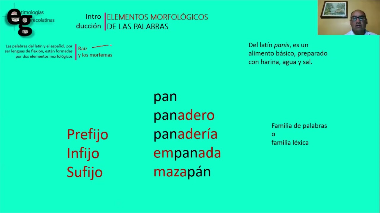 Elementos morfológicos de las palabras
