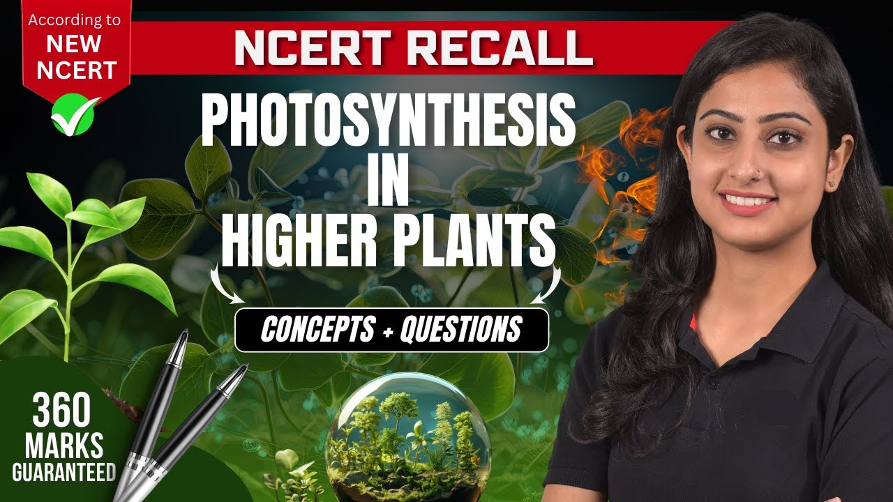 Photosynthesis in higher plants| Concepts +Questions |NCERT RECALL |NEET 2024