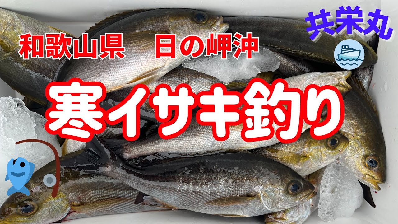 【船釣り】和歌山県日の岬沖で寒イサキを釣る！