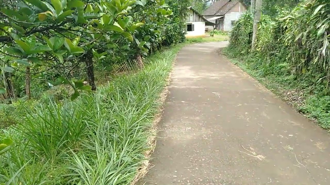 kampung asri di Jawa timur.ada rumah kuno juga disini