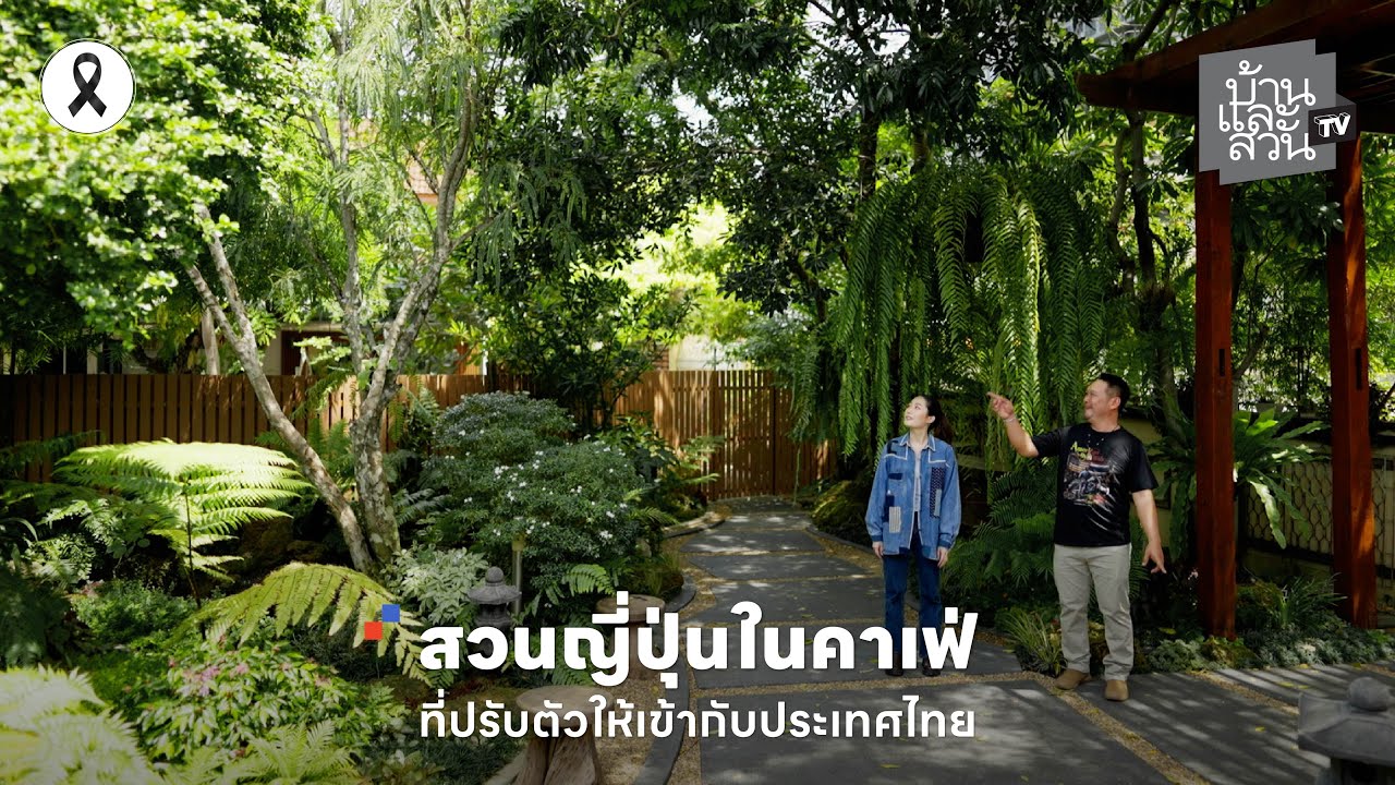 สวนญี่ปุ่นในคาเฟ่ ที่ปรับตัวให้เข้ากับประเทศไทย | บ้านและสวนทีวี