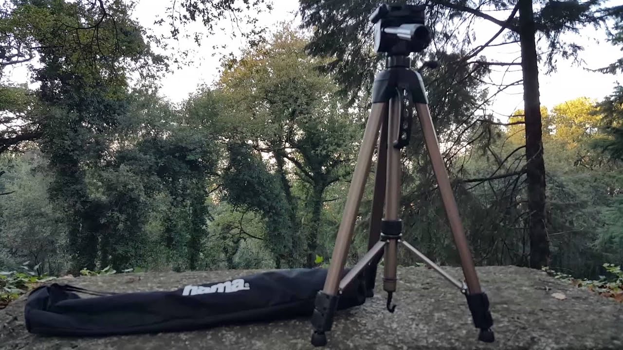 Обзор Hama Star 63