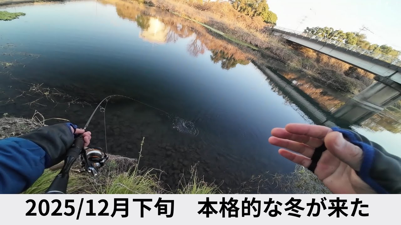 【TN50typeD】冬もギーラカンス【ギーラカンス5.8】