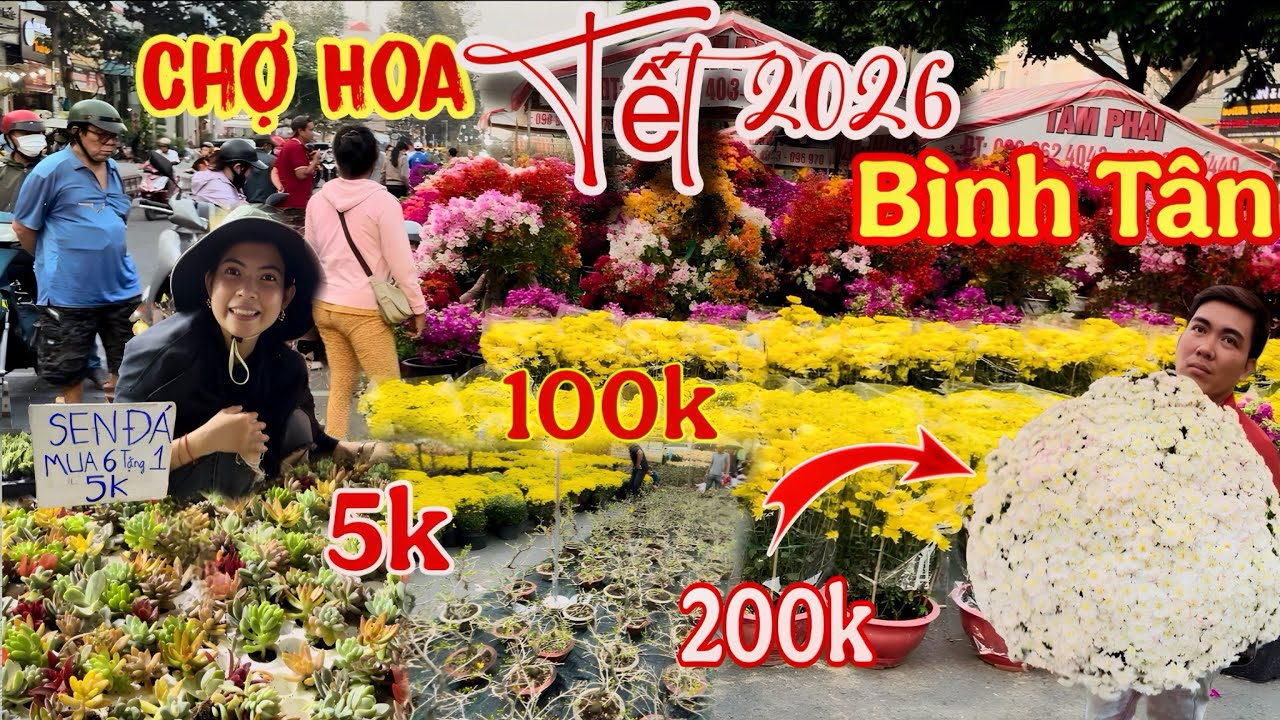 Chợ Hoa Tết 2026 khu nhà giàu Hoa Mai Hoa Cúc chỉ 100-200k cùng nhiều hoa Độc Lạ giá hợp lí 
