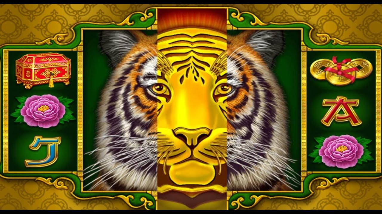 FORZZA TUNISIE | GRAND TIGER bonus