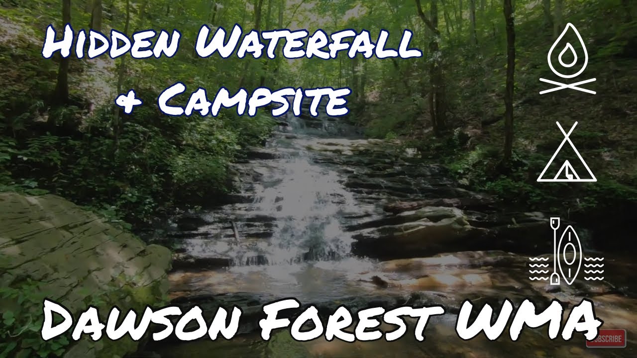 Hidden Campsite and Waterfalls Deep in the Dawson Forest