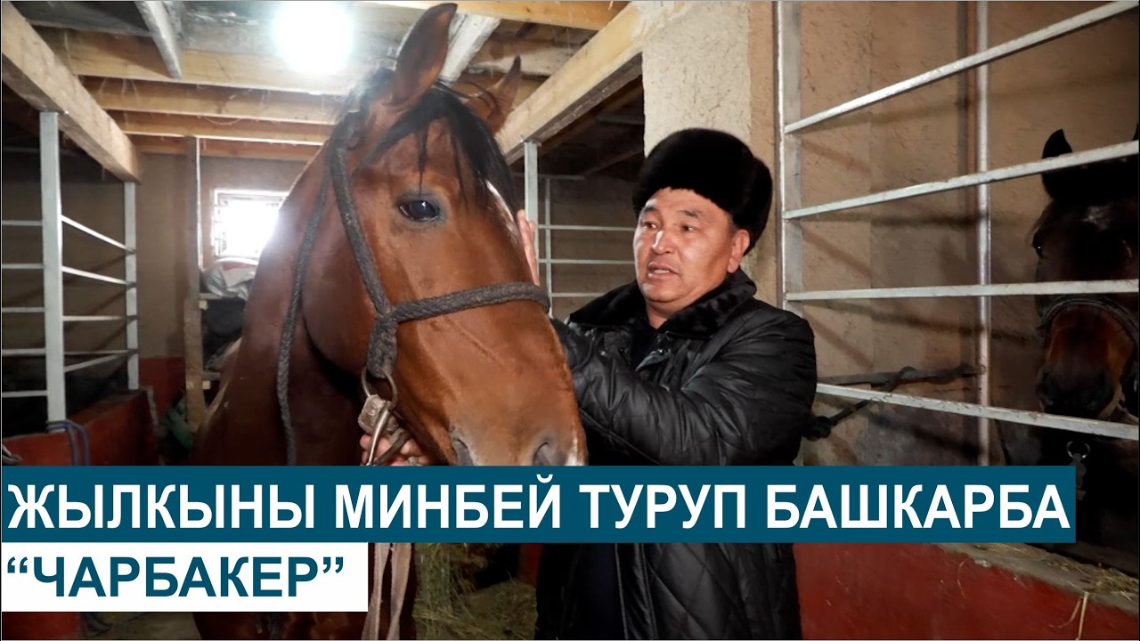 ЖЫЛКЫНЫ МИНБЕЙ ТУРУП БАШКАРБА//ЧАРБАКЕР