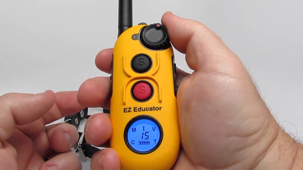 E-Collar Technologies EZ-Educator EZ-900 (How To Revisited)
