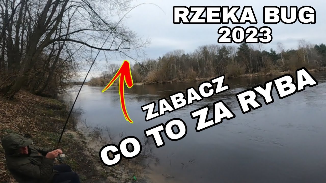 Co kryje się w DZIKIEJ RZECE BUG. TAKICH RYB SIĘ NIE SPODZIEWAŁEM