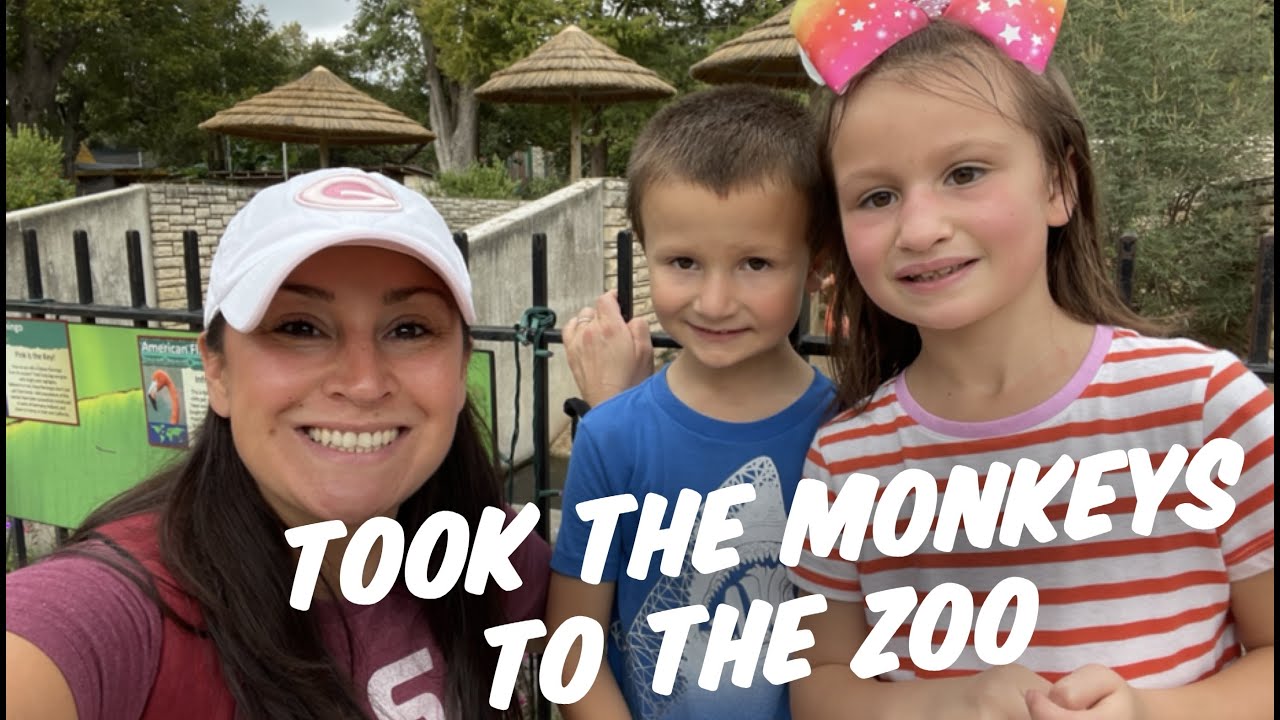 MOMS DAY OUT WITH THE KIDS AT THE ZOO | HONORING OUR VETERANS WITH FREE ENTRY TO THE PARK | VLOG
