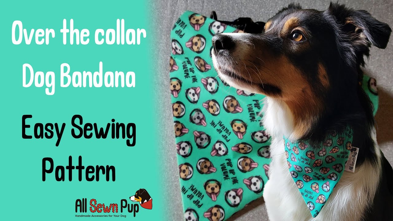 Easy Sewing Tutorial - Over the collar dog bandana | 11.ai