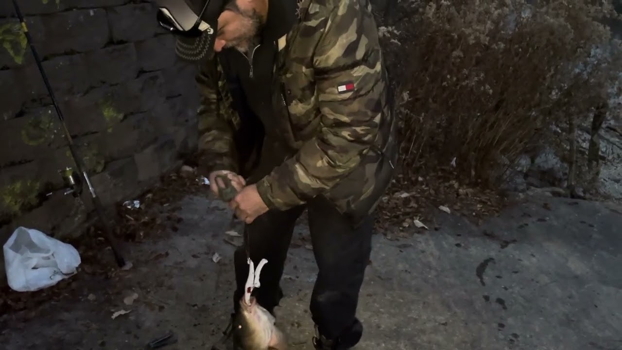 Pesca en Chicago River