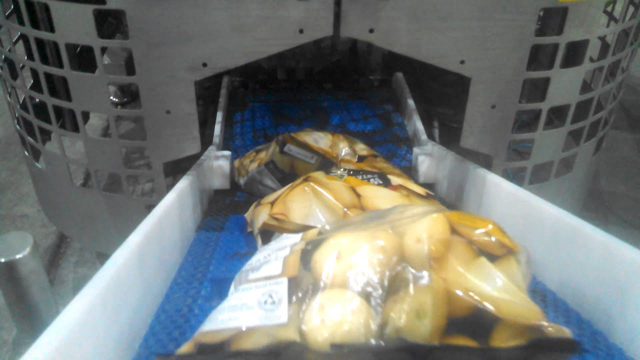 NEWTEC 4015B2 with JASA 350CM VFFS Bagger for Potatoes