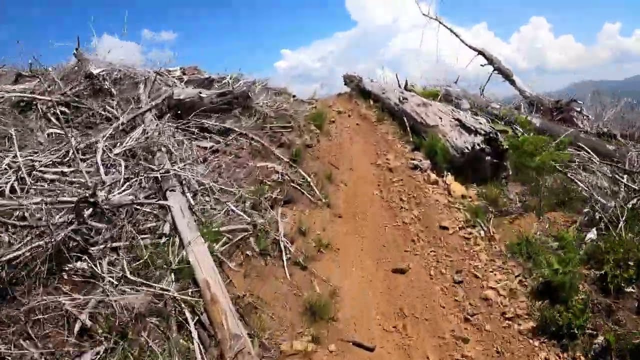 Riding the clear cut at Diamond Mill #dirtbike #singletrack