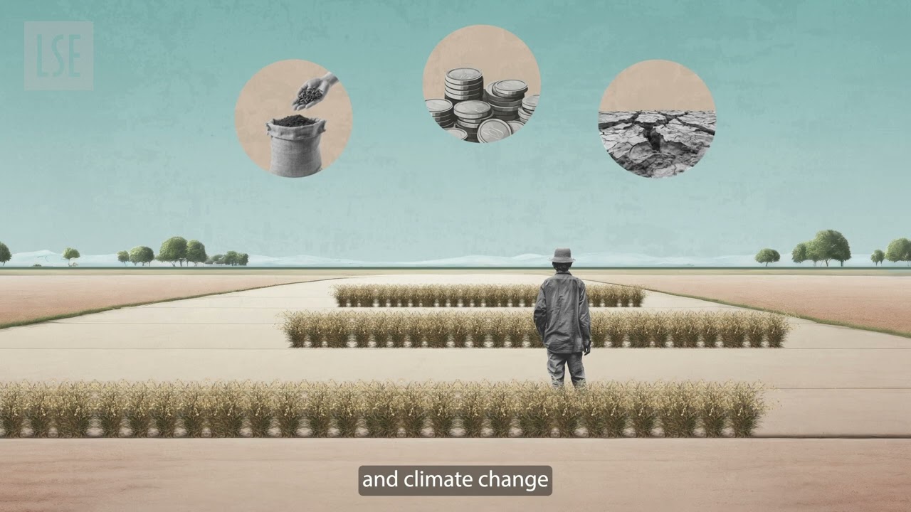 Who are the displaced in urban areas?