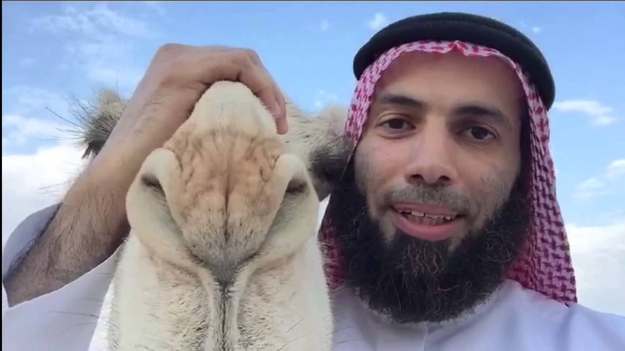 أفلا ينظرون إلى الأبل كيف خلقت | الدكتور نايف العجمي